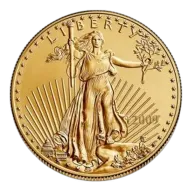 2009 1 oz American Gold Eagle Coin BU