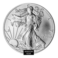 1 Oz Silver American Eagle Random Year (Circulated) - US Mint