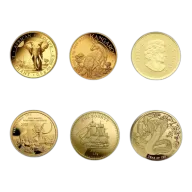 0.5g Gold Coin