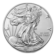 1 oz Liberty Silver Coin