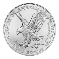 Pre-Owned USA Eagle Type II 1oz Silver Coins - Mixed Dates - VAT Free