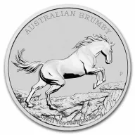 Australian Brumby