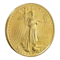 2003 1 oz American Gold Eagle Coin