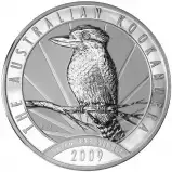 Kookaburra