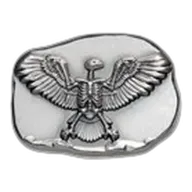 1/2 oz Hand Poured Silver - Eagle Skeleton