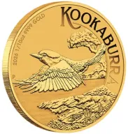 Kookaburra