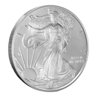 2010 1 oz American Silver Eagle Coin
