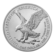 1 oz American Silver Eagle Silver Coin