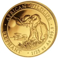 Somalia Elephant