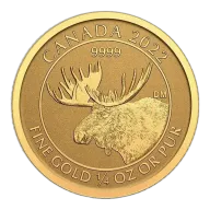 1/4 oz Canadian Moose Gold Coin