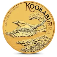 Kookaburra