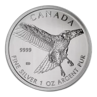Red-Tailed Hawk 1oz Silver Coin (2015)