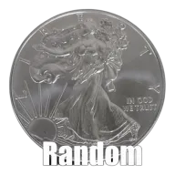 1 oz American Silver Eagle Silver Coin