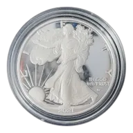 1 oz American Eagle Silver Coin