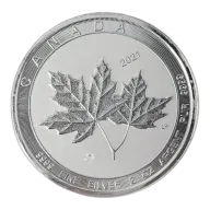 2 oz Maple Leaf Silver Coin