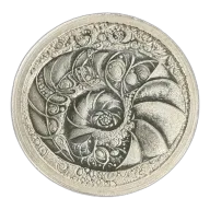 1 oz Silver Coin
