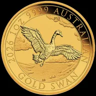 Swan