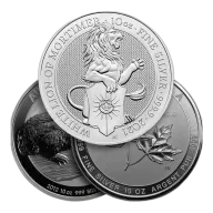 10 oz Silver Coin / Round (Varied Condition - Mint of Our Choice)