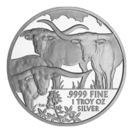 2014 Texas Silver Round