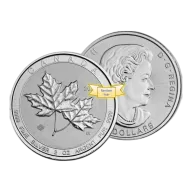 2 oz Silver Royal Canadian Maple Leaf Coin .9999 Random Year