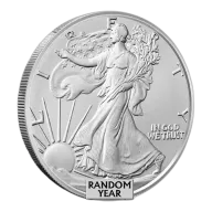 1 oz American Silver Eagle Silver Coin