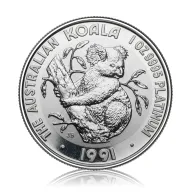 Perth Koala