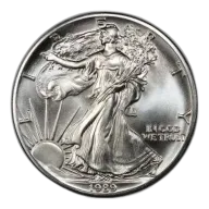 1989 American Silver Eagle Coin