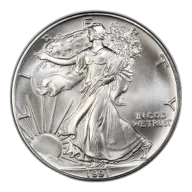 1991 American Silver Eagle Coin