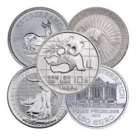 Silver 1 oz Coin - Random Design, Mint and Year | Varied Condition