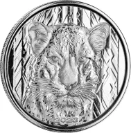 Ghana Leopard