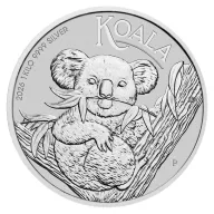 Perth Koala