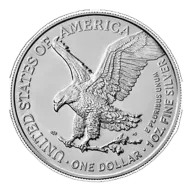2021 1 oz American Silver Eagle Coin (Type 2)