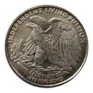 1/10oz Generic Silver Round