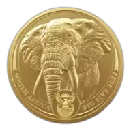 South African 1oz 2022 Gold Elephant
