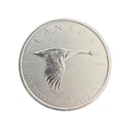 Canada Goose