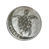 Hawksbill Turtle