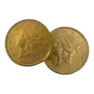 Any Year $20 Liberty Head Coin Circ