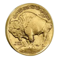1 oz American Eagle Gold Coin