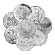 1 oz Silver Round (Varied Mint)
