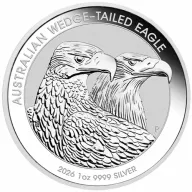 Wedge-Tailed Eagle