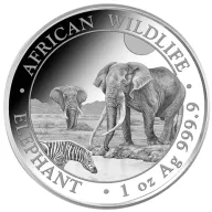 Somalia Elephant