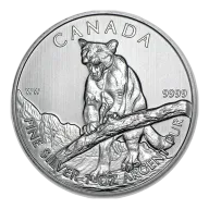 Pre-Owned 2012 Canadian Growling Cougar 1oz Silver Coin - VAT Free