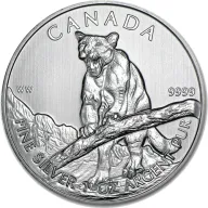 Growling Cougar