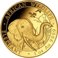 Somalia Elephant