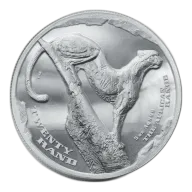 5 Oz Silver Cheetah - The African Range
