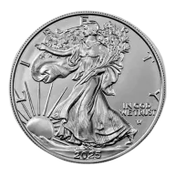 1 oz American Silver Eagle Silver Coin