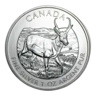 1 Oz Silver Antelope Canadian Coin 2013
