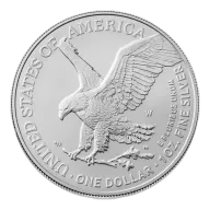 1 oz American Silver Eagle Silver Coin