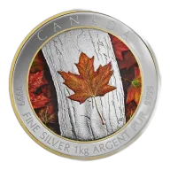 1 kg 2016 $250 Maple Leaf Forever - Pure Silver Coin