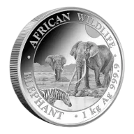 2026 1 Kilo Somalia Silver Elephant Coin (BU)